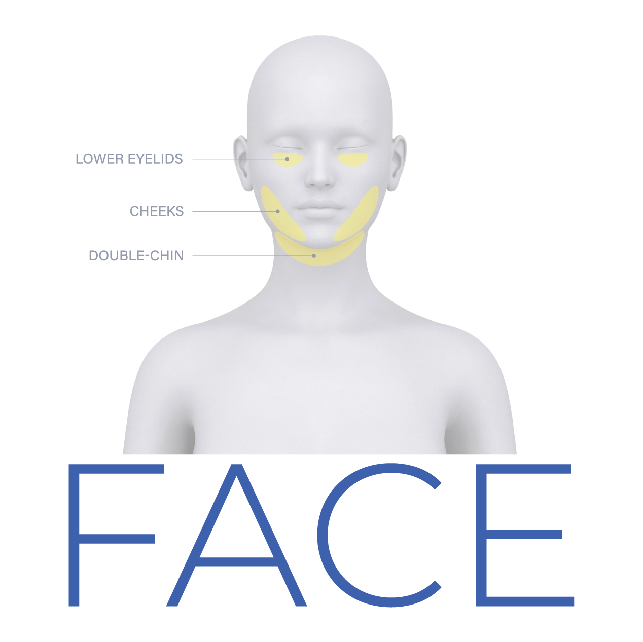 Areas of Treatment Face
